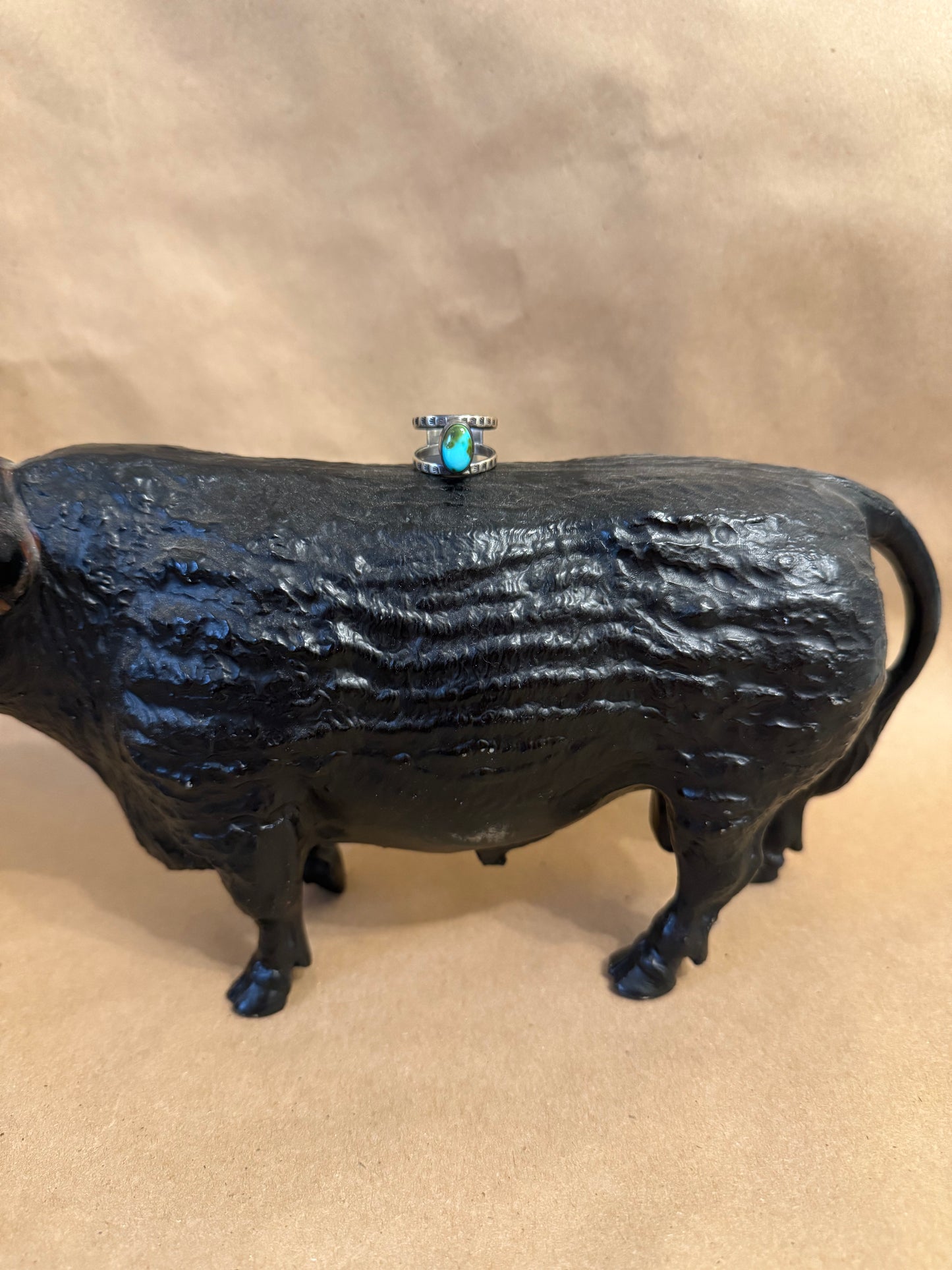 Sonoran Gold Double Band Ring